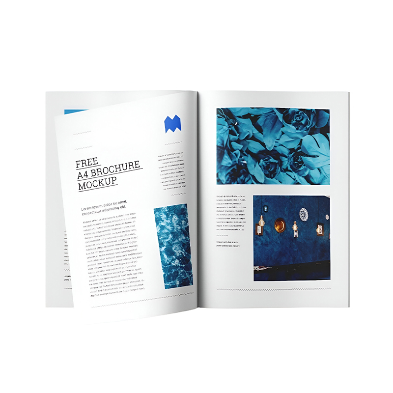 Album Customization